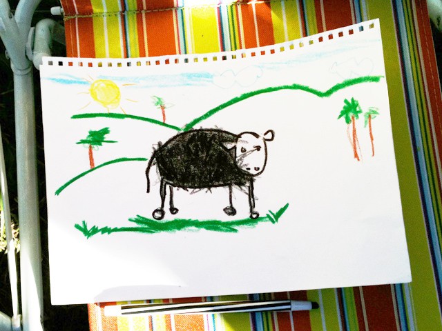 Cow picture