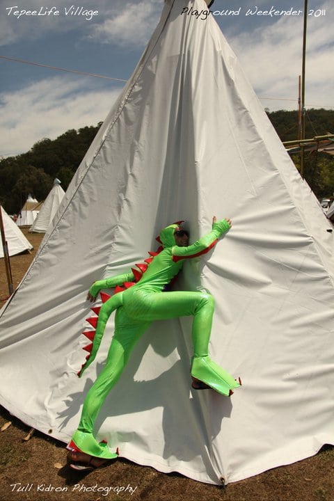 custom made dinosaur costume