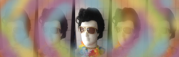 Elvis costume wig