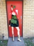 Poison Ivy, fancy dress costume hire shop