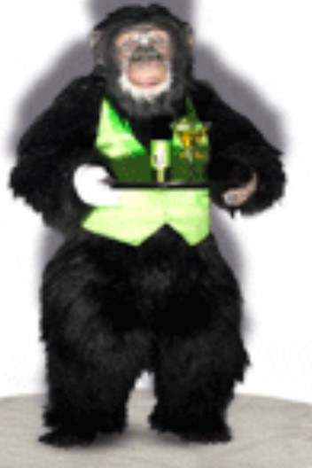I made the vest for the Gorilla