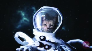Space Cat, costume maker, Sydney